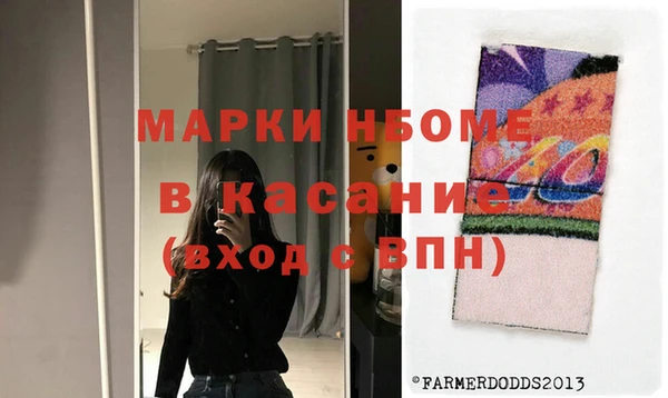 хмурый Алзамай