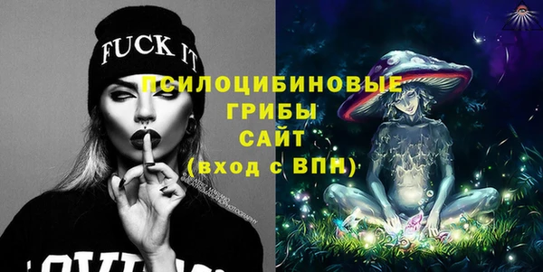 ешки Алексеевка
