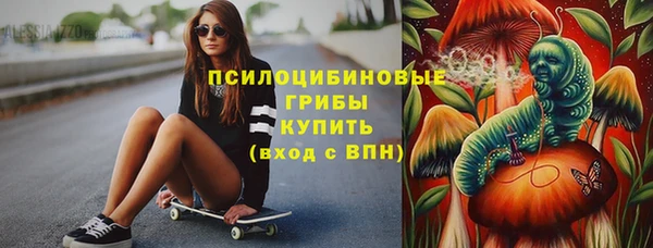 хмурый Алзамай