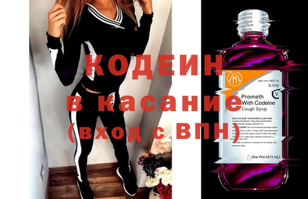 хмурый Алзамай